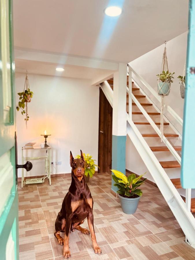 度假居 La Casa De Colour Filandia, Quindio Filandia